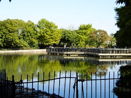8. 昆陽池公園　水鳥観察施設